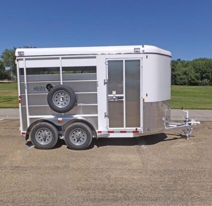 2021 Maverick Steel/Aluminum 2 Horse Trailer