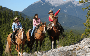 Best Dealings for Rocky Mountain Classifieds- The Amazing Horse