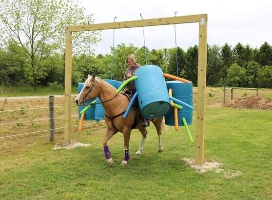 Beginner and Family safe, Ranch Horse, Ropes, Pens, BROKE, Lots of color, Lesson Horse… Confidence Builder!!!