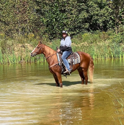 gentle for any rider on trails or around the ranch! Good handle, very gentle for beginners!!!