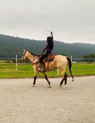 Broke for the whole family to ride, Ranch Horse Deluxe, Penned, Sorted, Roped, Doctored Cattle!