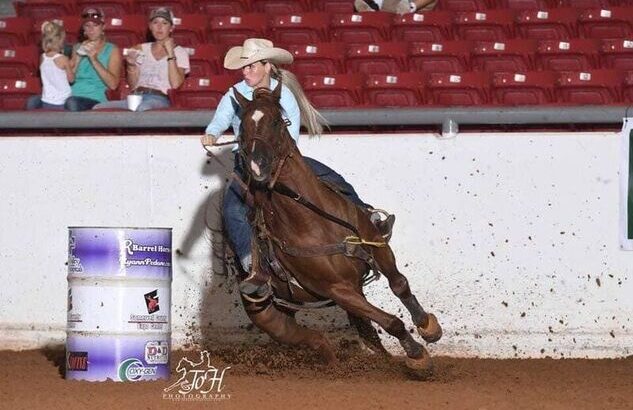 PlatinumEquineAuction.com Ranch, Penning, Sorting, Barrels, Poles, NRHA Money Winner, finished Reining Horse!!! Whiz N Tag Chex son!!