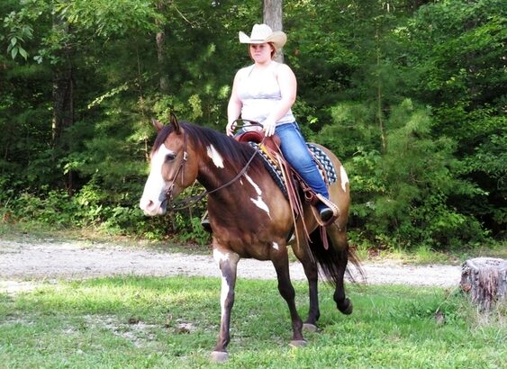 big stout and gentle for trails or around the ranch! Penning, Sorting, Roping, Cutting, Reining!