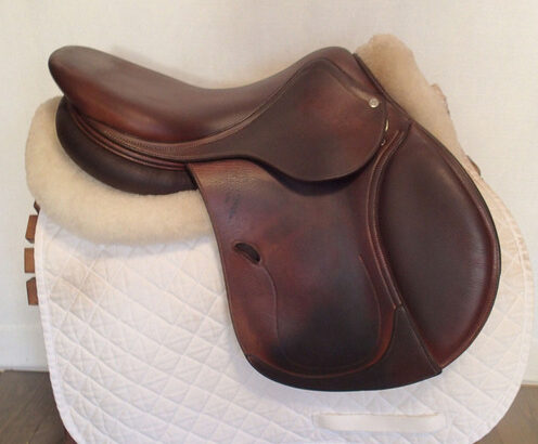 17″ Antares Saddle 2010 2N