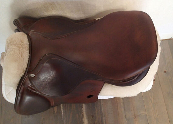 17″ Antares Saddle 2010 2N