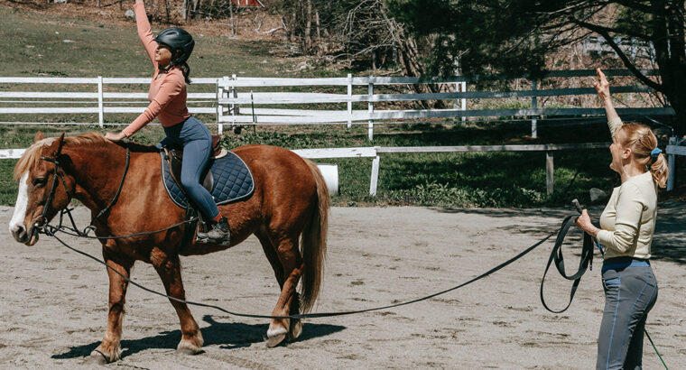 In the United States, there is a beautiful and Kentucky Mountain horse for sale.