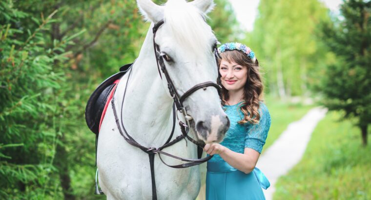 In the marketplace, there is a beautiful color Quarter Horse for sale.