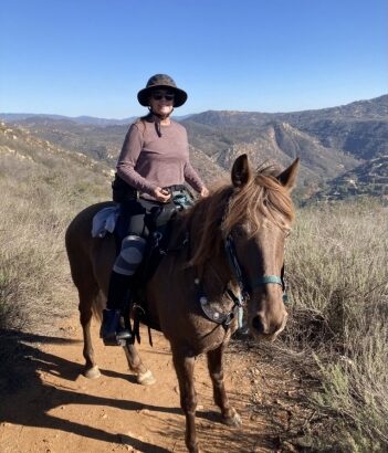 Rocky Mountain Horse Mare