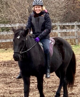 Black Icelandic Horse Mare