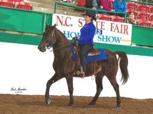 Tonka’s Bam Bam -Kentucky Mountain Saddle Horse