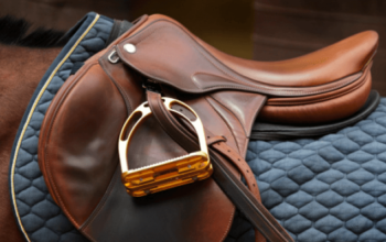 Why You Need a Saddle for Your Horse?