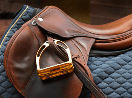 Why You Need a Saddle for Your Horse?