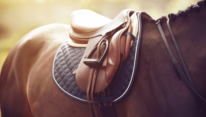 Significance of Saddle