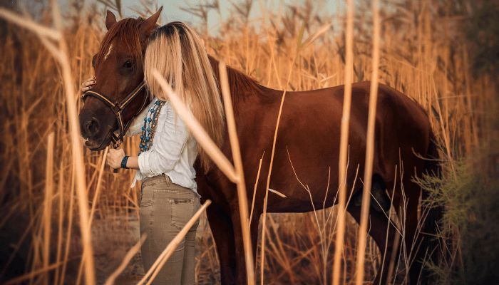 What Rocky Mountain Horses are Popular for?