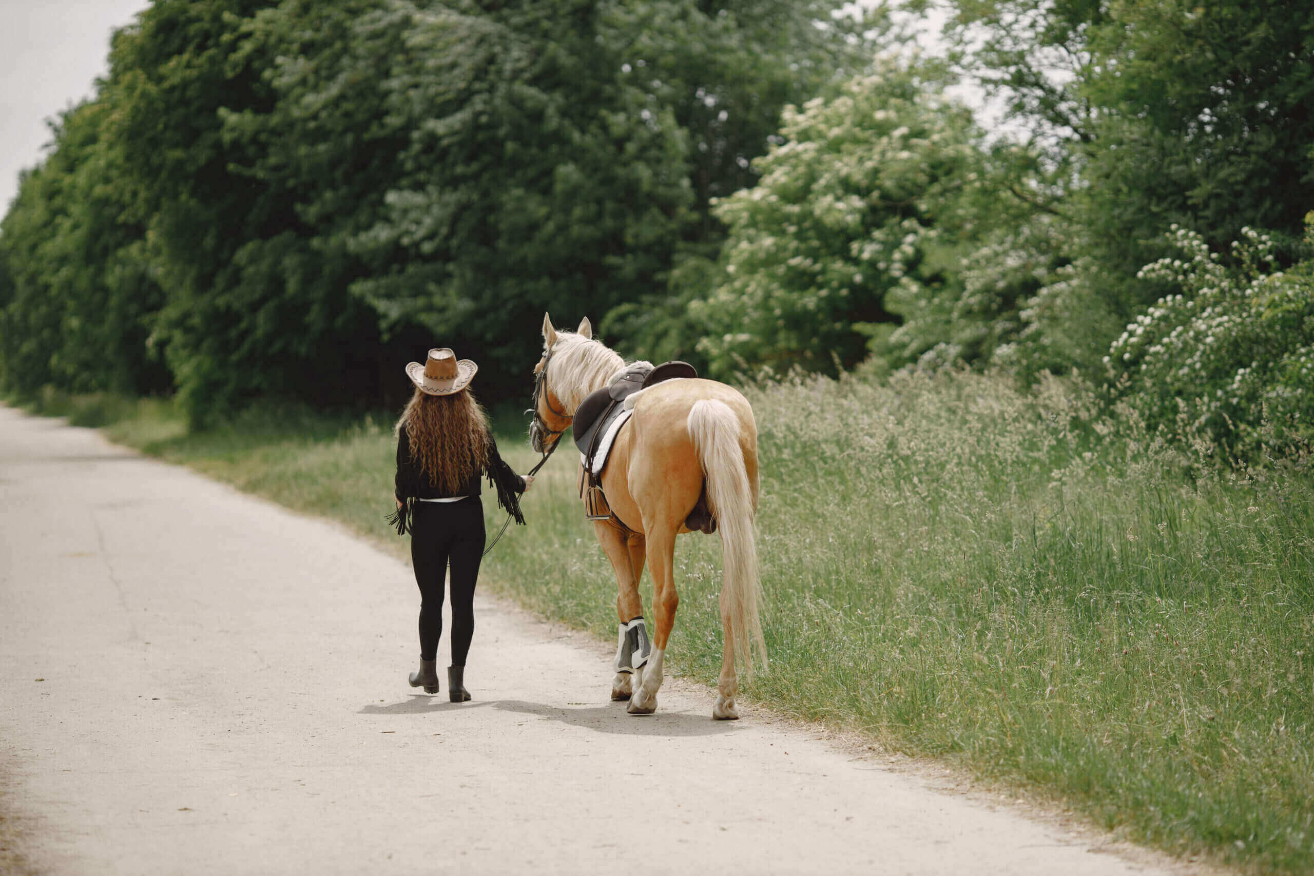 rider-woman-walking-with-her-horse-ranch-woman-has-long-hair-black-clothes-female-equestrian-holding-horse-reins-scaled