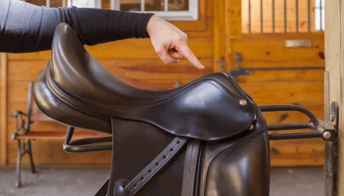 What Are Horse Saddles Made Of? Important Things to Know