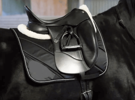 How To Fit a Horse Saddle in the Right Way?