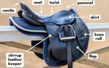 Which Material Is Best for Horse Saddle?