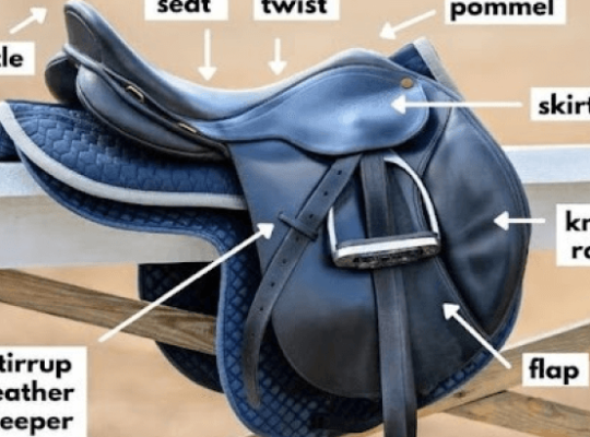 Which Material Is Best for Horse Saddle?