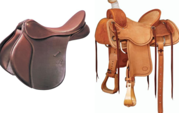 Buying Guide for Horse Riding Western Saddles