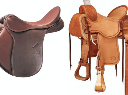 Buying Guide for Horse Riding Western Saddles