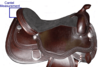 Horse Saddle Cantle – A Detailed Guide