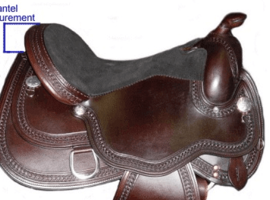 Horse Saddle Cantle – A Detailed Guide