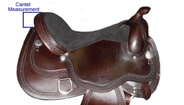 Horse Saddle Cantle 101: A Detailed Guide - Gaited Horse