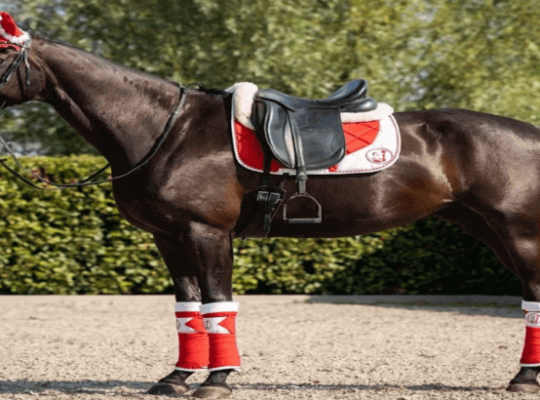 An Introduction to Horse Racing Saddle Kit for Prominent Features