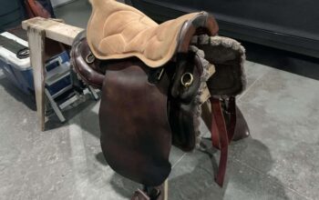 Why Are Horse Saddles – Hard Vs. Padded Seat