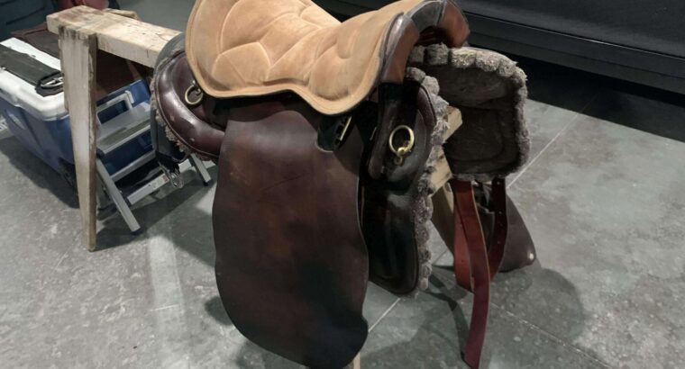 Why Are Horse Saddles – Hard Vs. Padded Seat