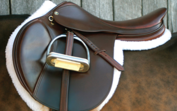 What you Need to Know about All-Purpose Horse Riding Saddle?