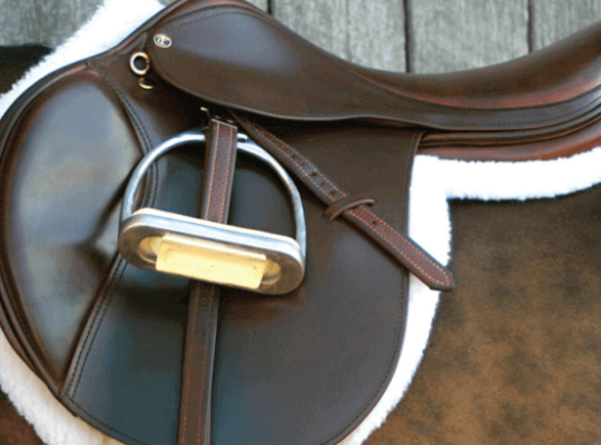 What you Need to Know about All-Purpose Horse Riding Saddle?