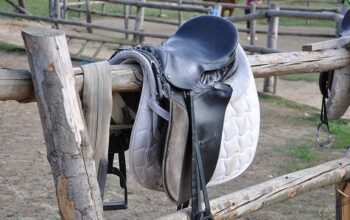 Quick Tips to Repair a Horse Saddle All by Yourself!