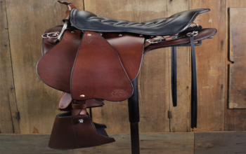 14 Must Have Horse Racing Tack and Equipment