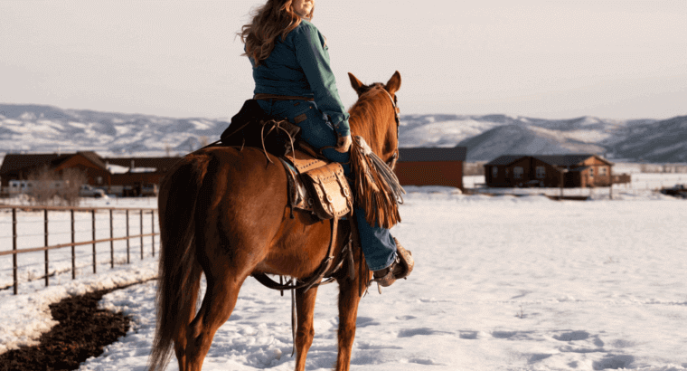 Is Riding a Horse Without a Saddle Pad Considered Risky?