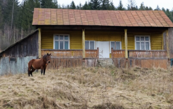 What is the Living Quarters Horse Trailer used for?