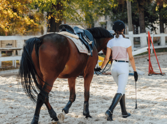 Mastering the Skill of Horse Riding Without a Saddle