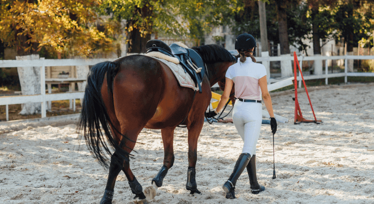 yphoto-back-oung-woman-special-uniform-helmet-with-her-riding-horse-