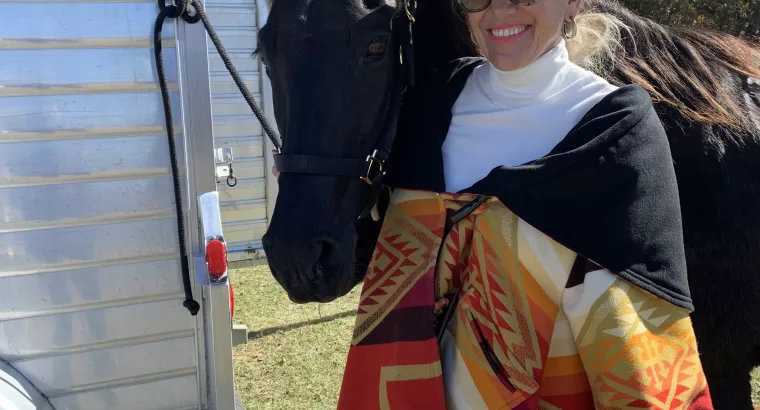 Tennesse Walking Horse