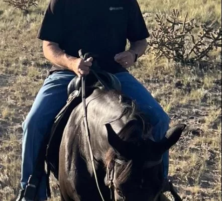 Tennesse Walking Horse