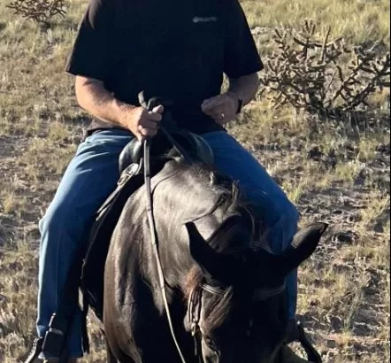 Tennesse Walking Horse