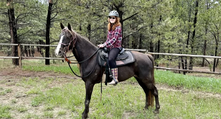 Sweet, Stunning, Tennessee Walker Mare ready to be your next trail companion!