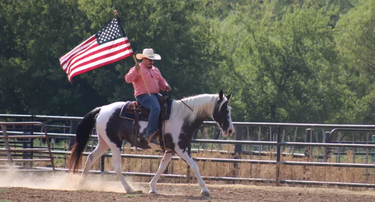 Classy Trail Riding Deluxe Gaited Mare / Family Safe / Show Mare