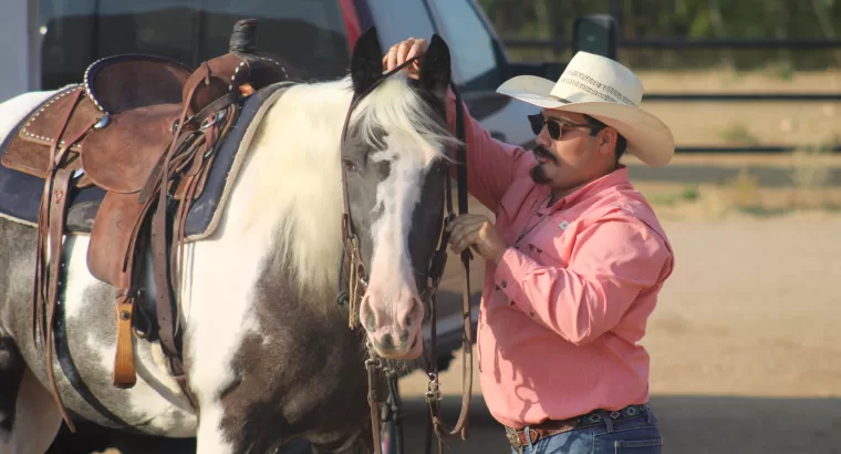 Classy Trail Riding Deluxe Gaited Mare / Family Safe / Show Mare